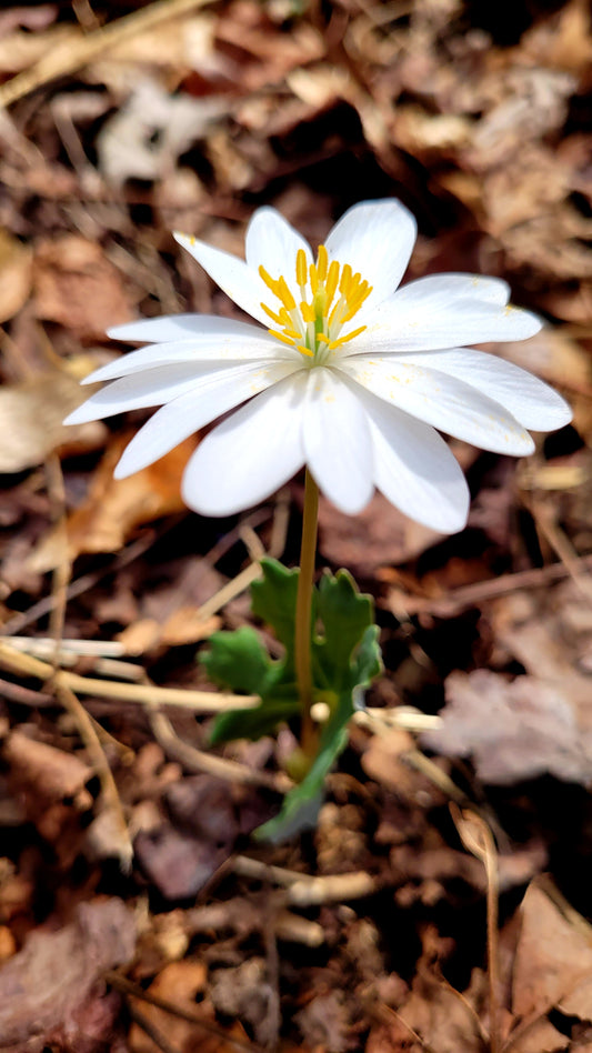 March's Photo Contest Winner