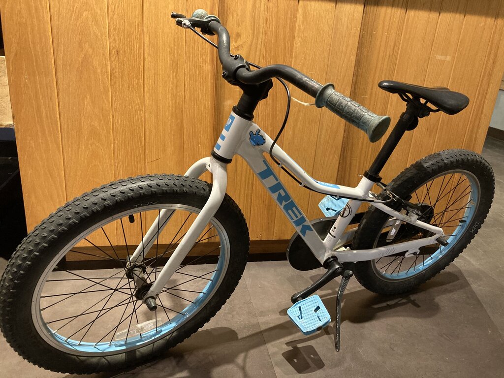 Trek Precaliber 20" Girl's Single Speed, White / Blue