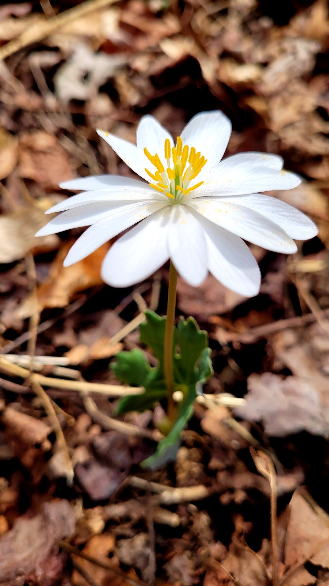 March's Photo Contest Winner