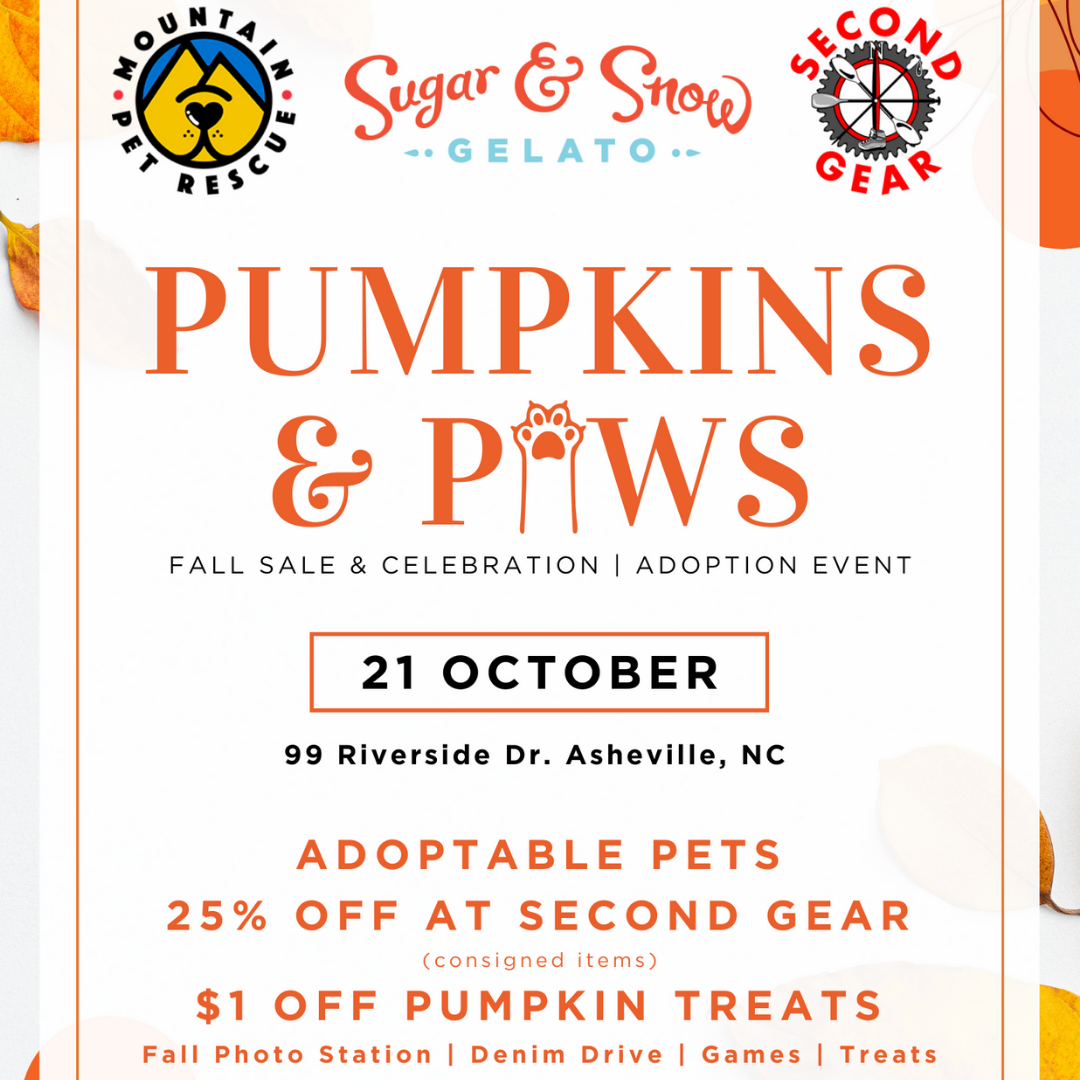 Pumpkins & Paws Fall Sale & Celebration